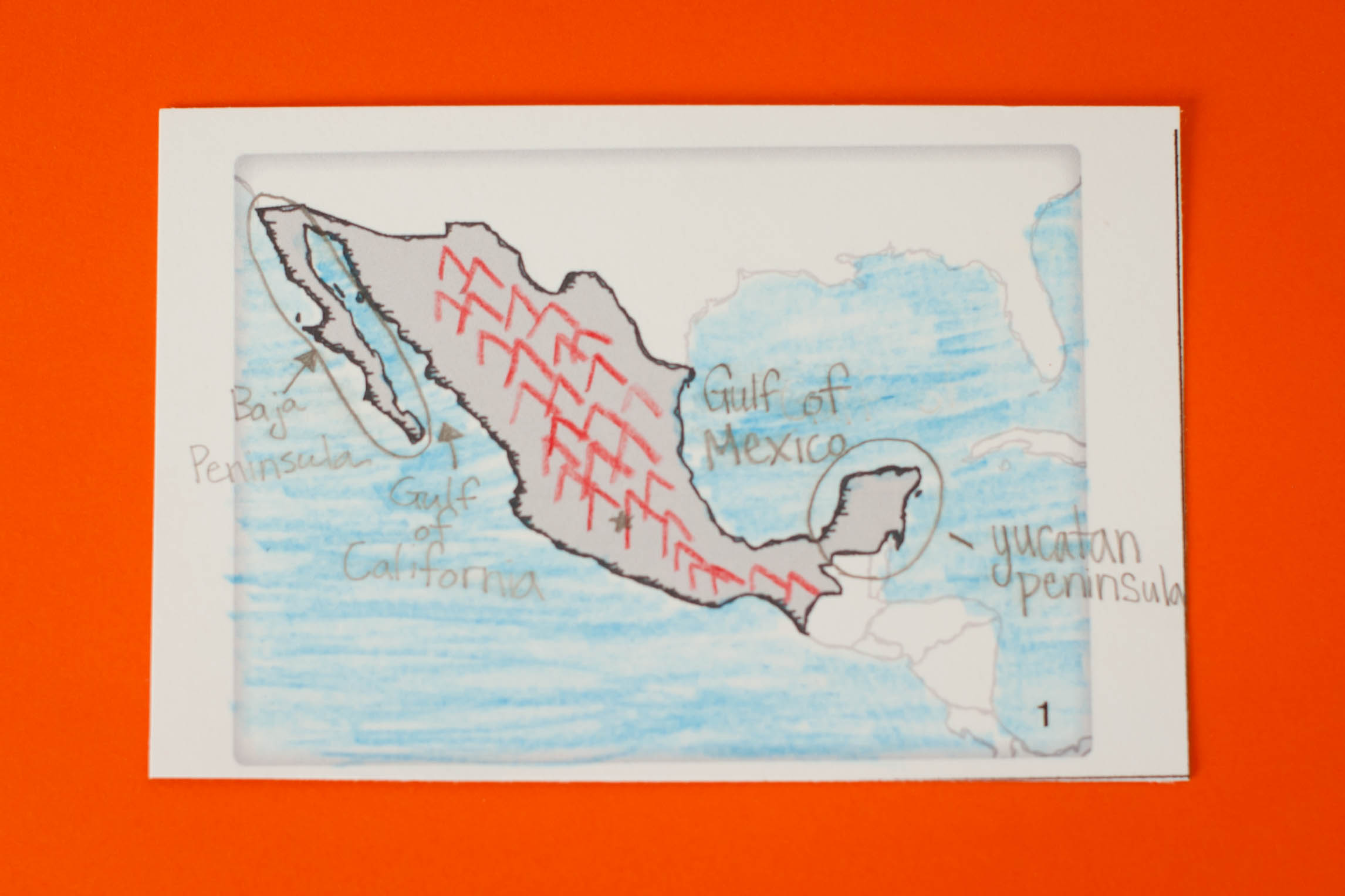 Latin America Country Cards {semester 1}
