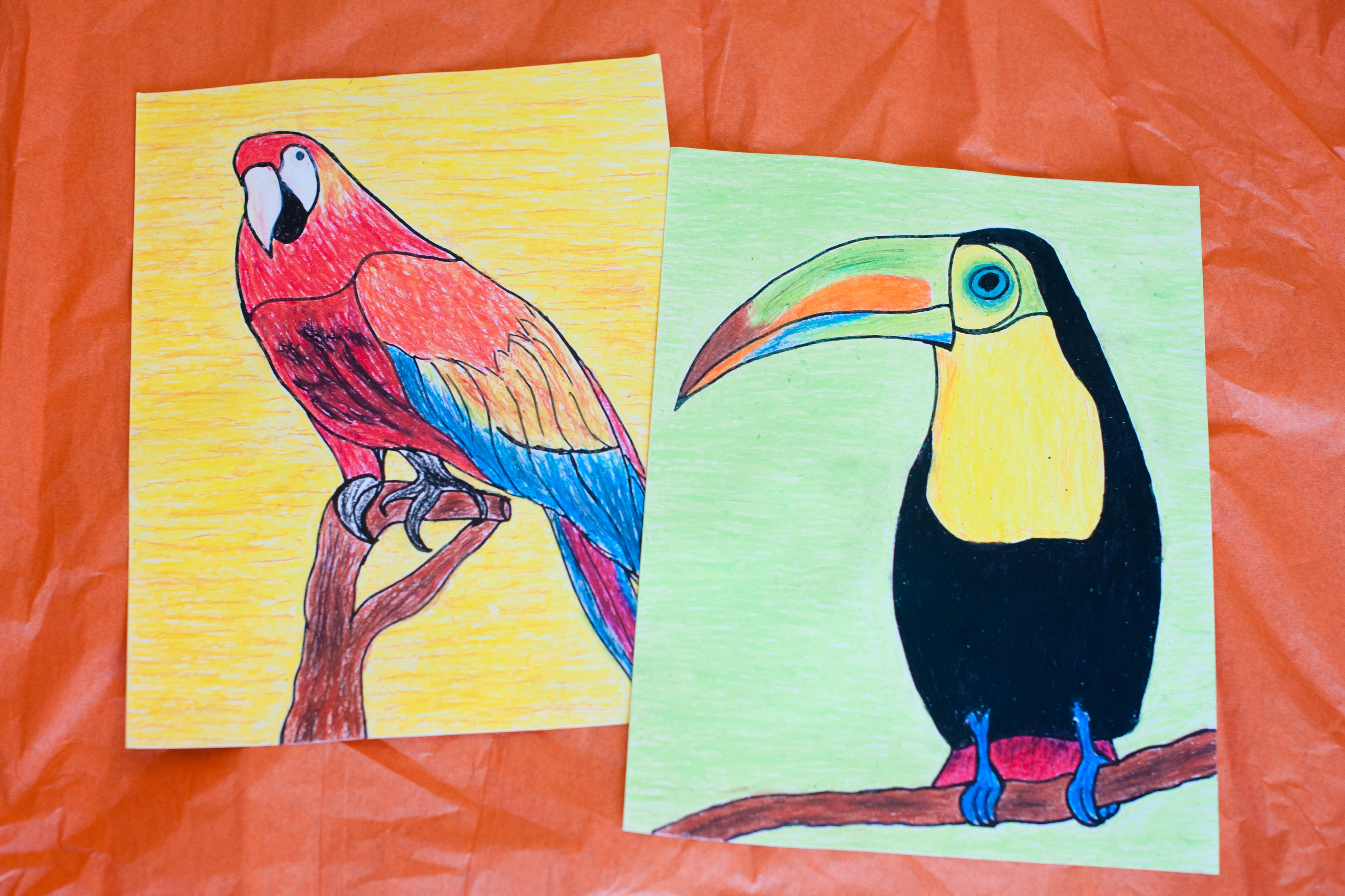 Oil Pastel Art:  Tropical Birds: